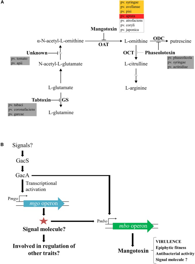 FIGURE 3