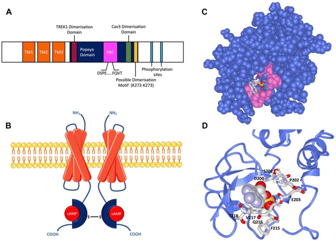 Fig. 2