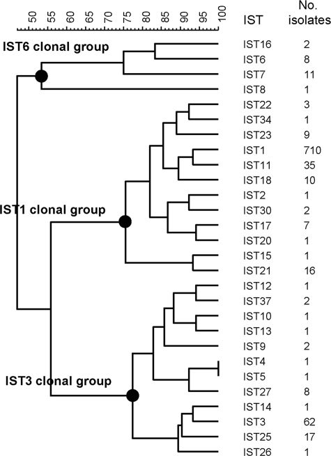 FIG. 1.