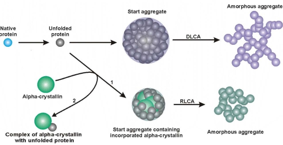 Figure 16.