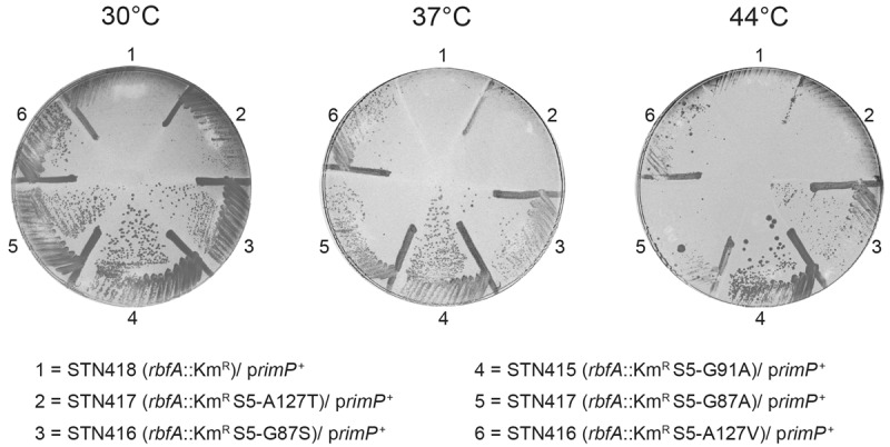 FIGURE 6.