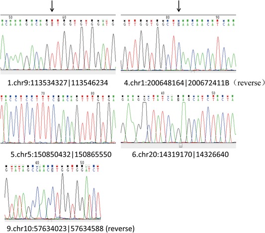 Figure 5