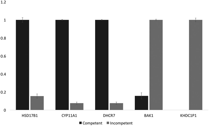 Figure 4.