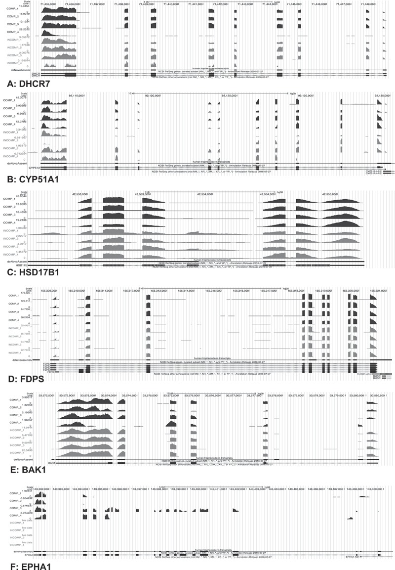 Figure 2.