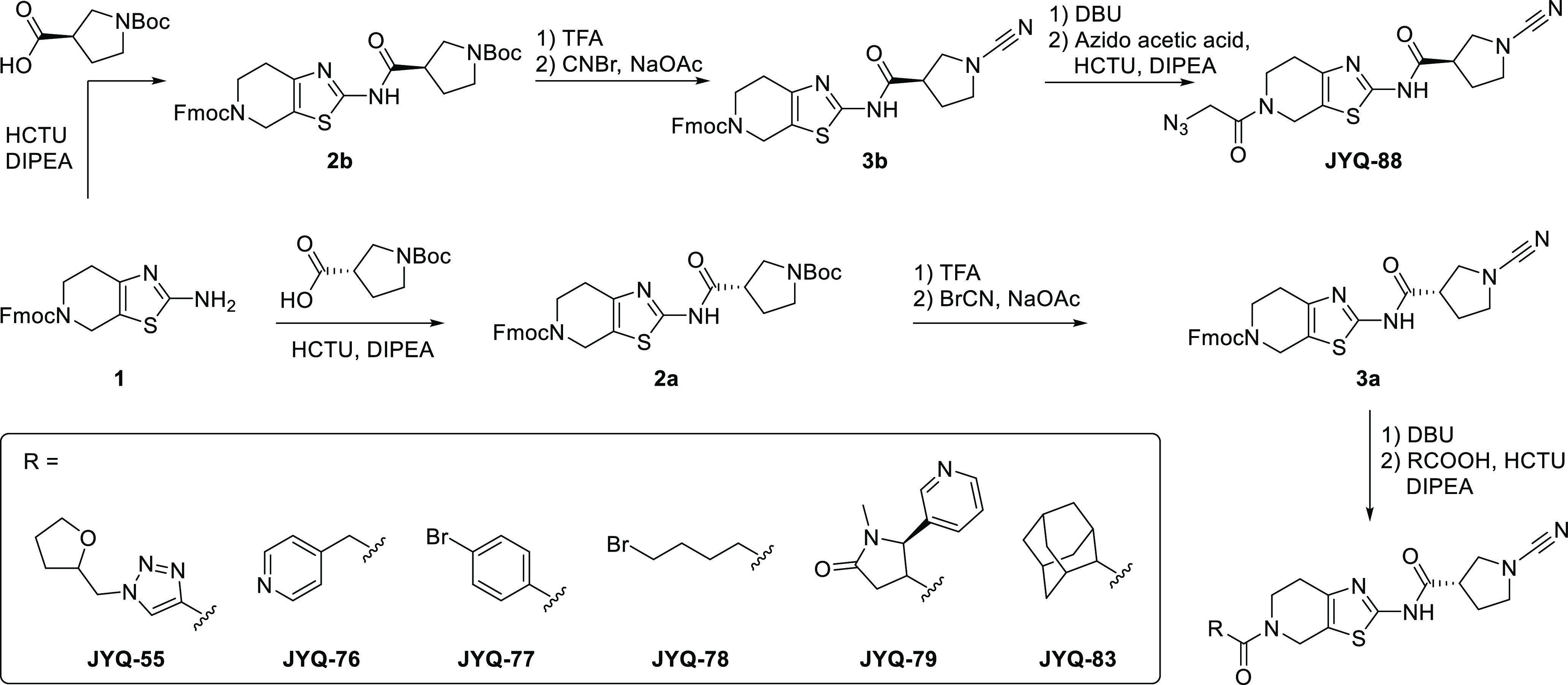 Scheme 1