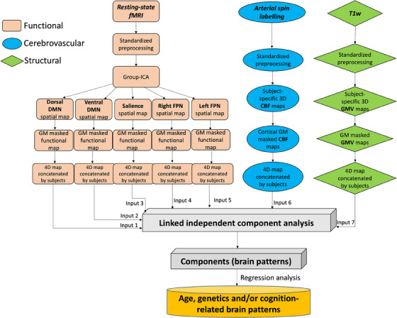 FIGURE 1