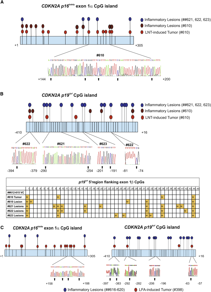 Figure 6