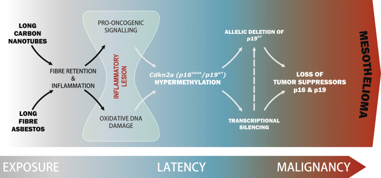 Figure 7