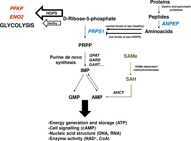 Fig 6