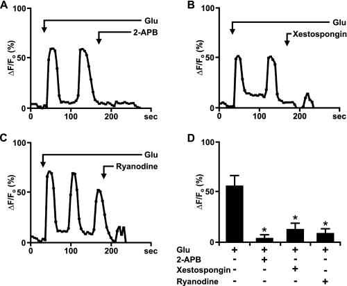 FIGURE 5.