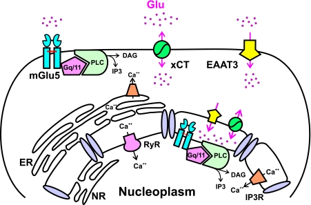 FIGURE 11.