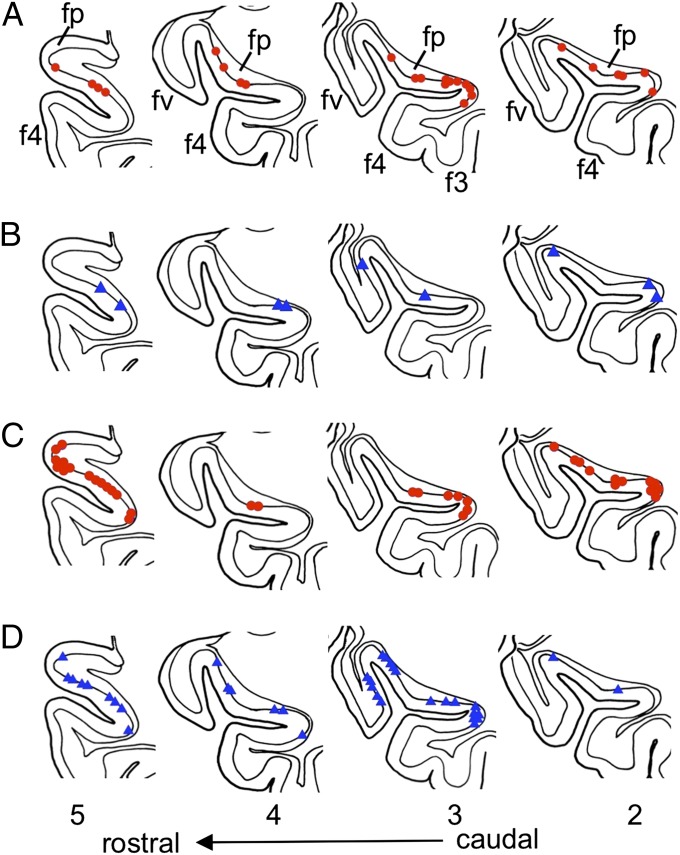 Fig. 5.