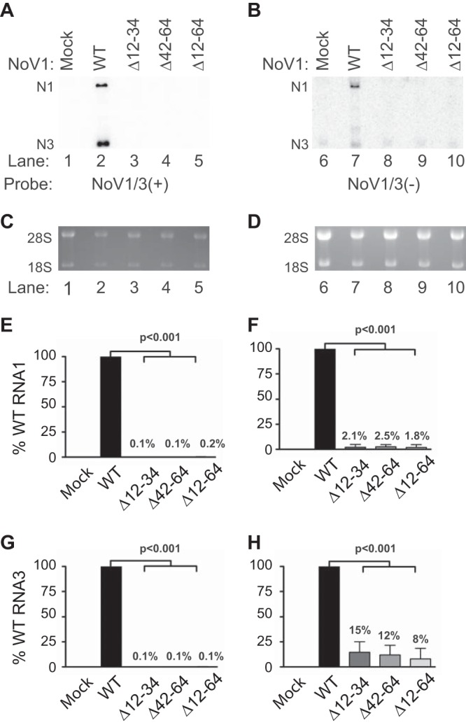 FIG 10