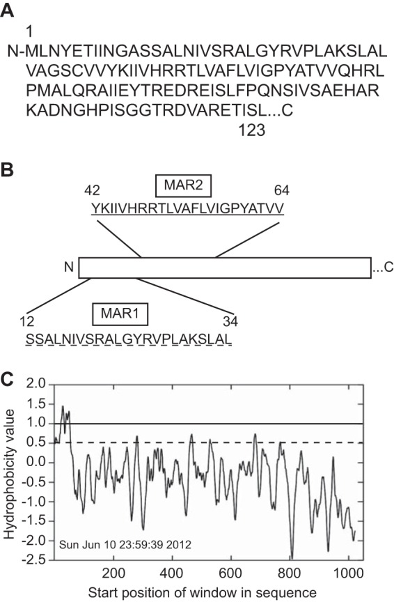 FIG 5