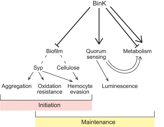 Figure 10.