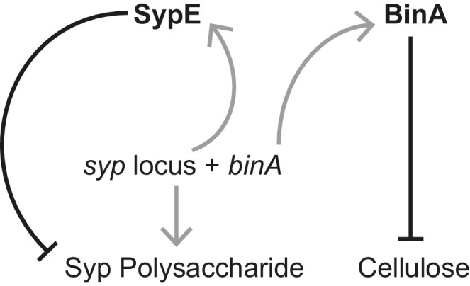 Figure 5—figure supplement 3.