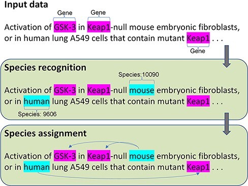 graphic file with name baac090f1.jpg