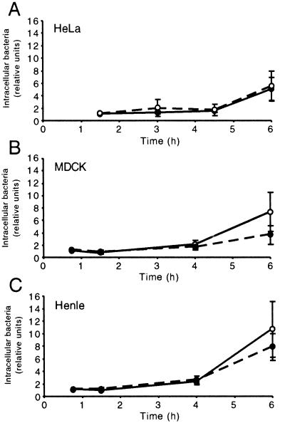 FIG. 1