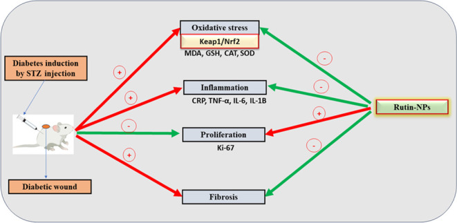 graphic file with name ao3c05595_0014.jpg