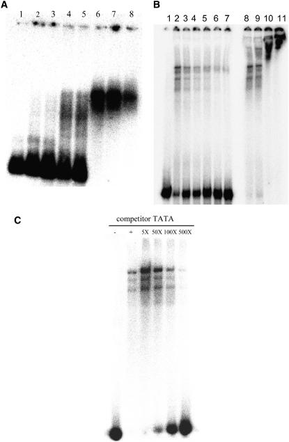 Figure 6.