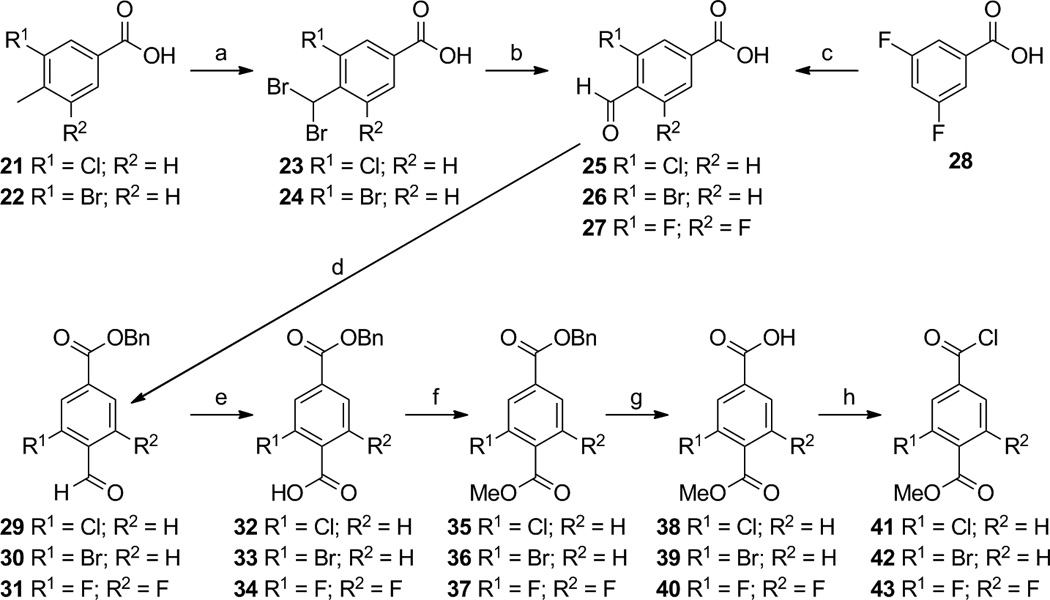 Scheme 1