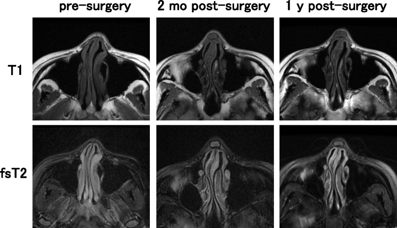 Fig. 8