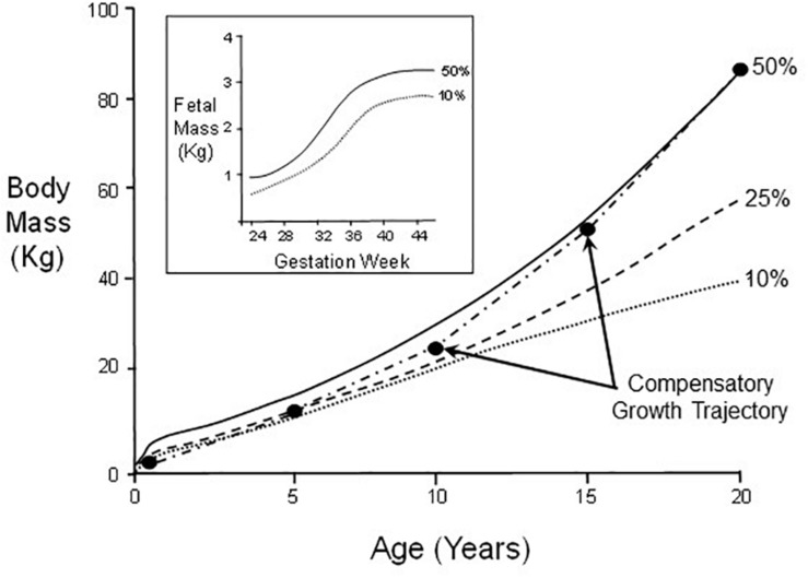 FIGURE 2