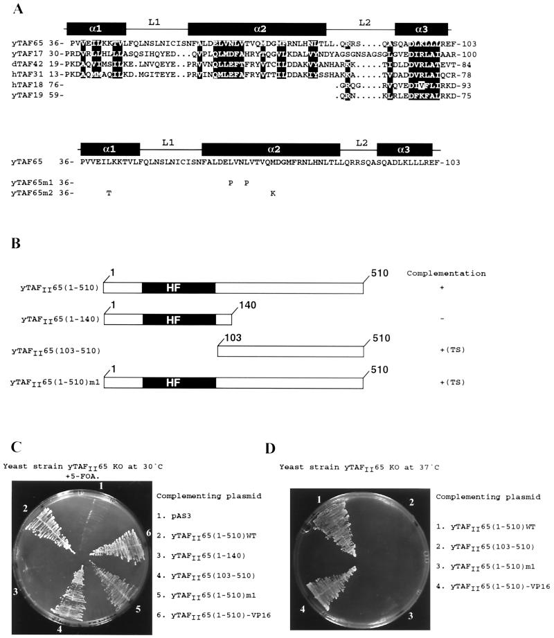 FIG. 6