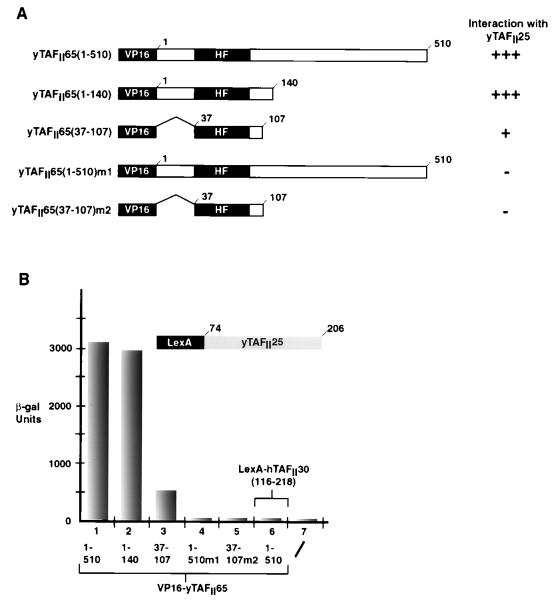 FIG. 7