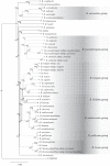 FIG 3