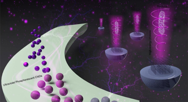 graphic file with name 41377_2022_837_Figa_HTML.jpg