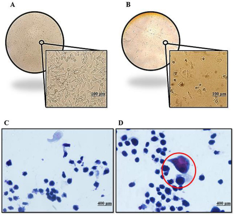 Fig.2