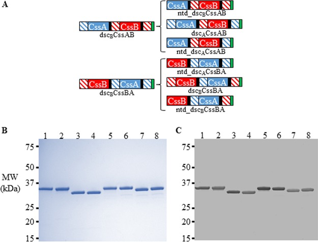 FIG 3