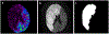 Figure 3: