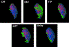 Figure 10: