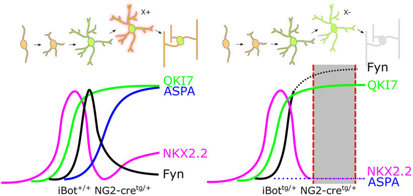 Figure 10.