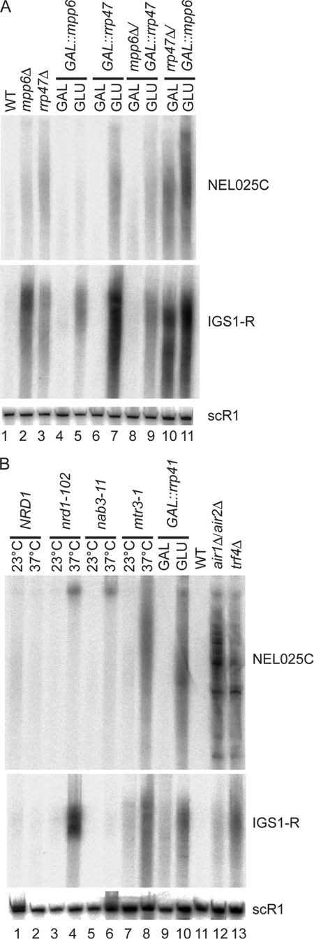 FIG. 7.