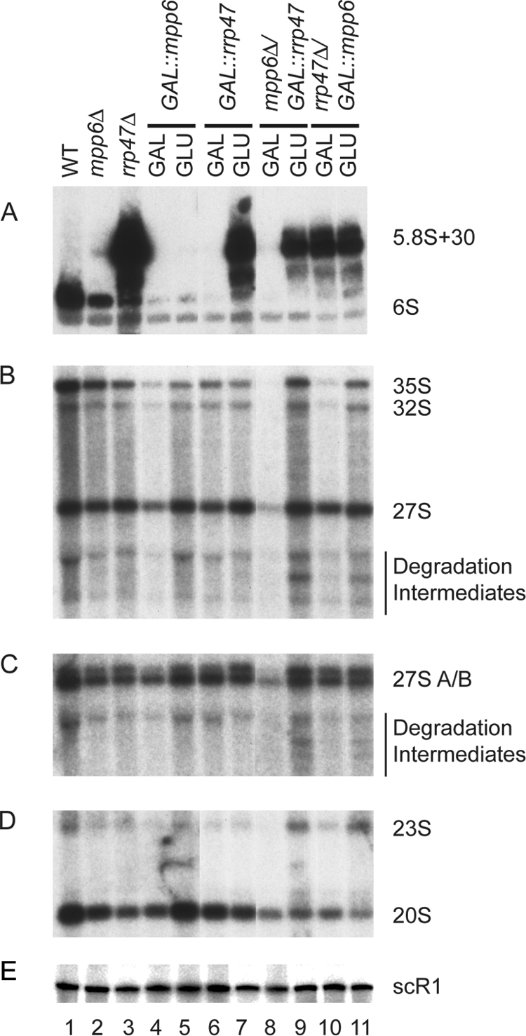 FIG. 5.