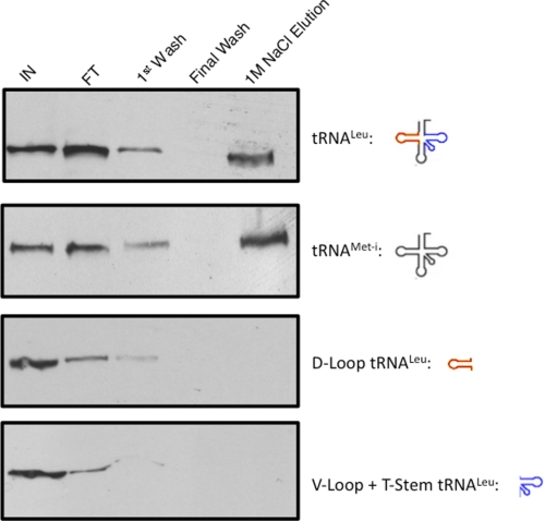 FIGURE 7.