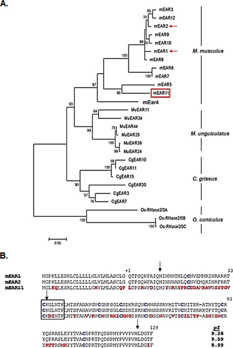 FIGURE 1.