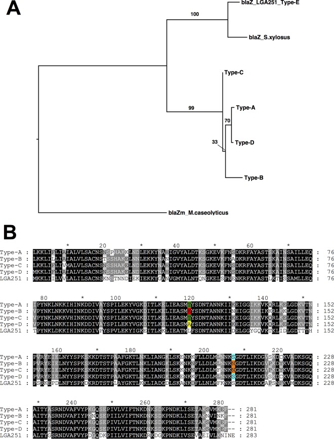 FIG 1