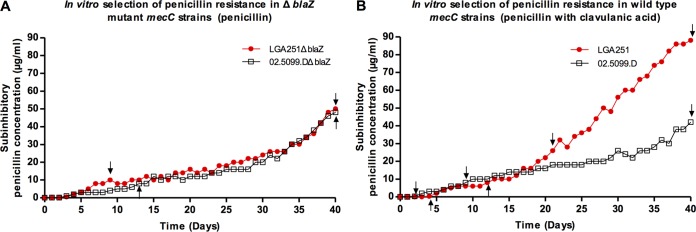 FIG 4