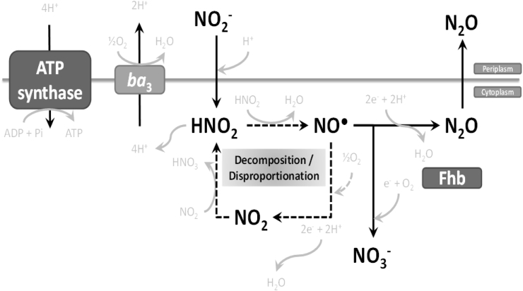 Fig. 8