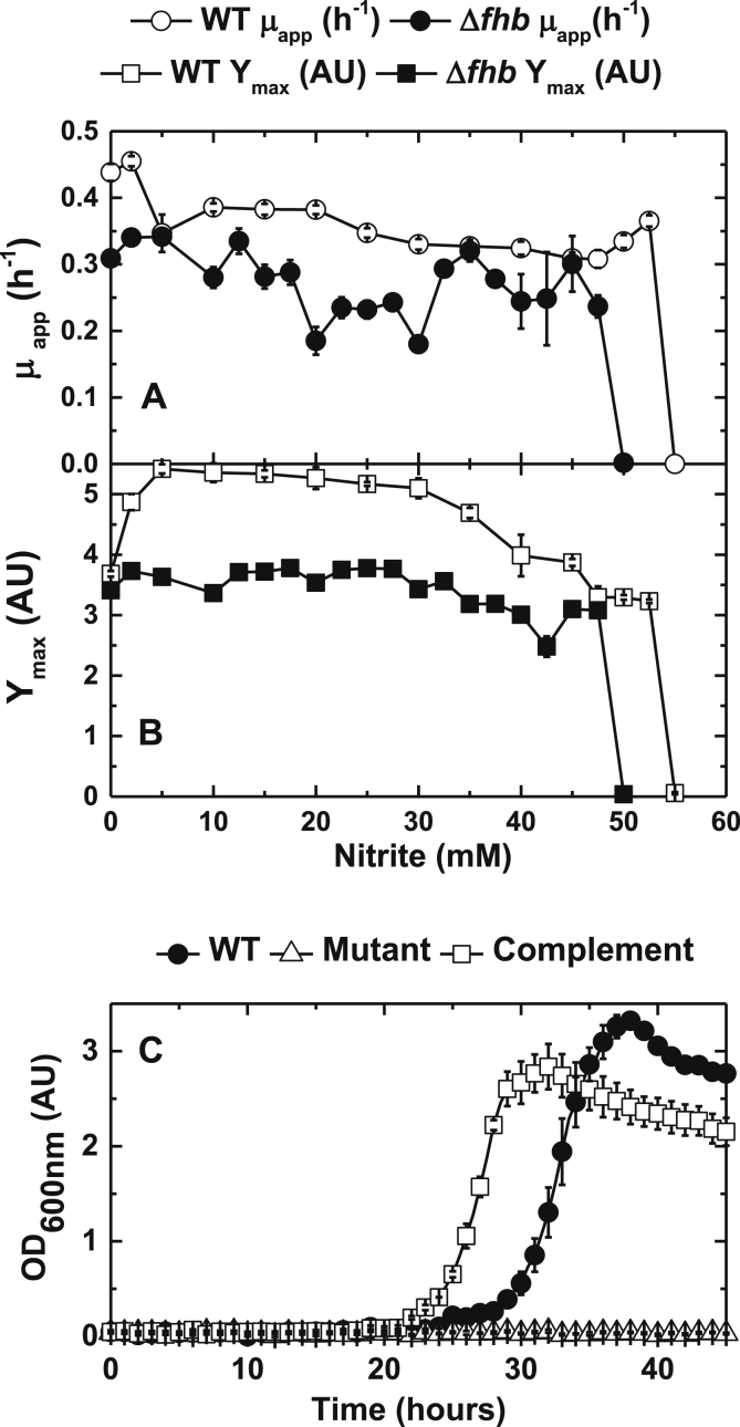 Fig. 6