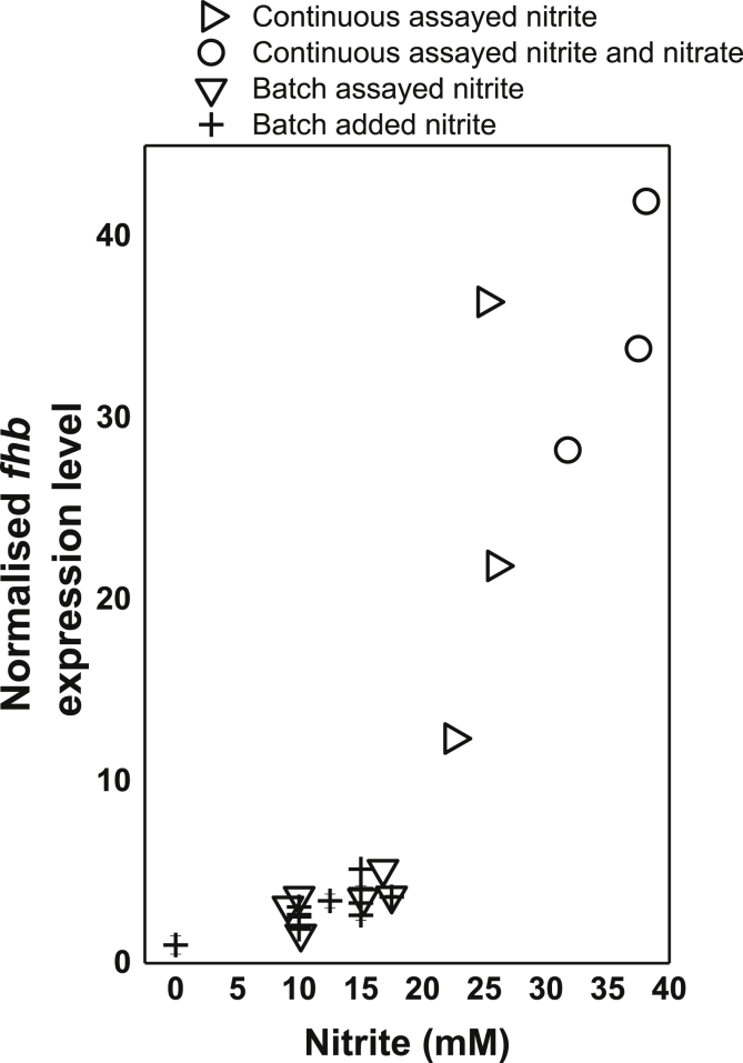 Fig. 5