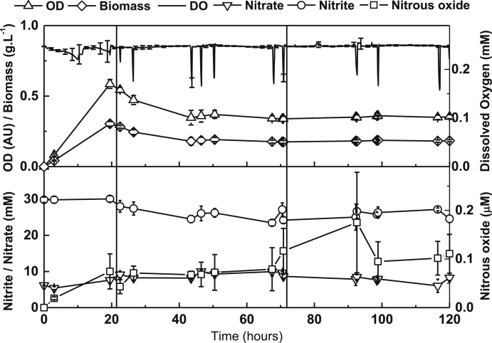 Fig. 7