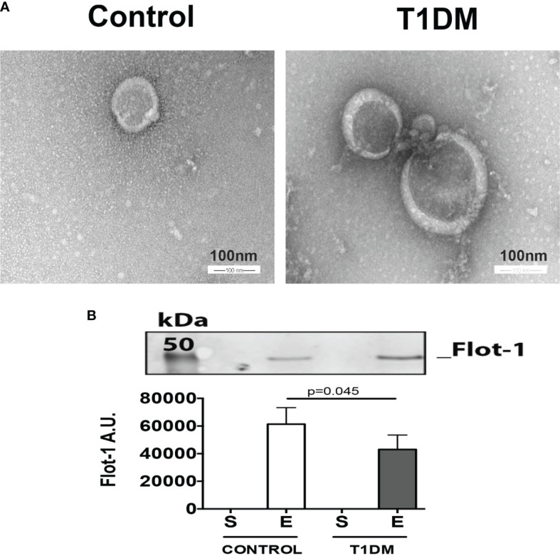 Figure 1