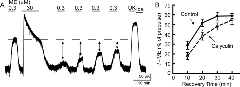 Fig. 5.