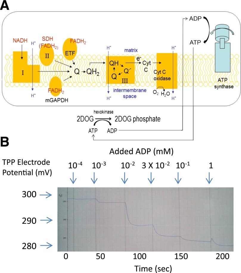 FIG. 3.