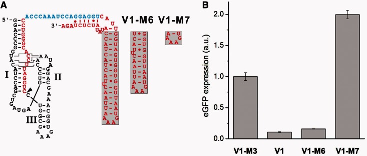 Figure 5.